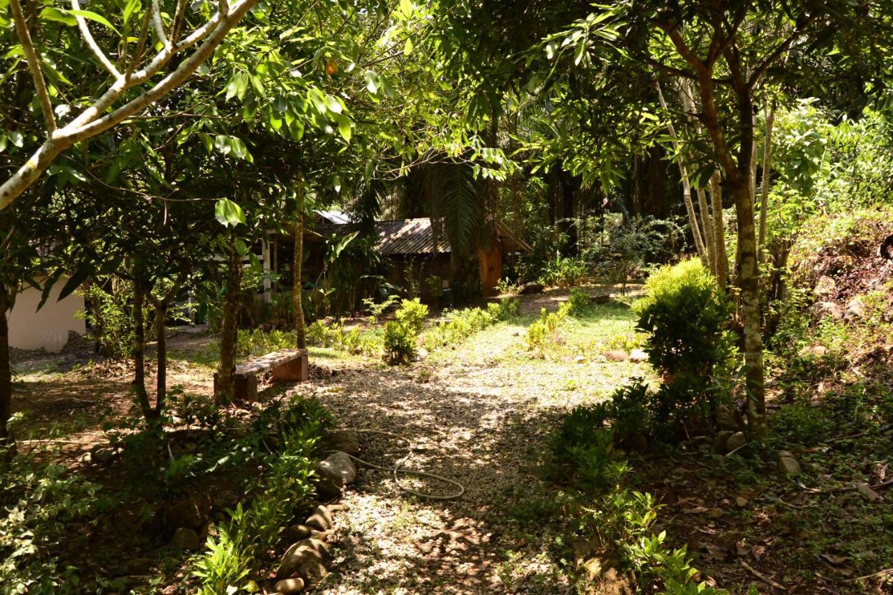 Eco-Logic, Resort For Charity Phato Exterior foto